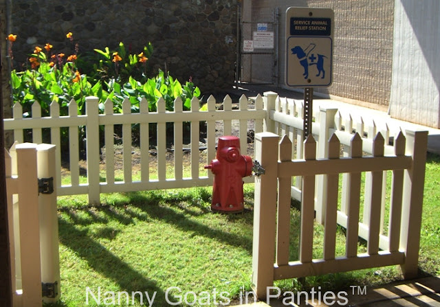 maui airport service dog relieving station with hydrant