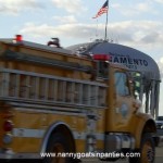 sacramento, city of trees, sacramento trees per capita, sacramento photos.jpg