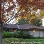 sacramento, sacramento city of trees, sacramento trees per capita, trees sacramento