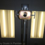 dental ceiling lights