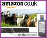 Subscribe to NGIP on your Kindle in the UK