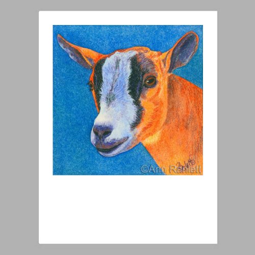 goat note cards