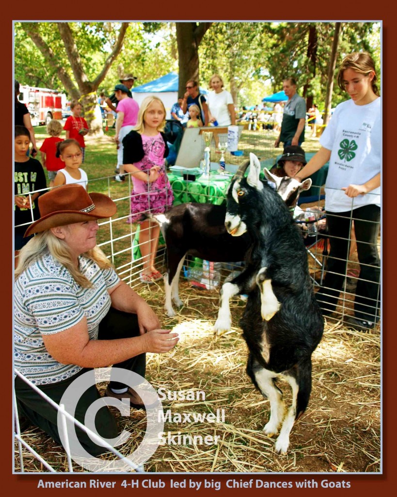 dancing goat Pooty skinner