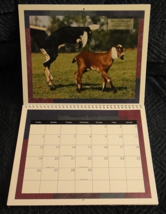goat calendar, 2012 goat calendar