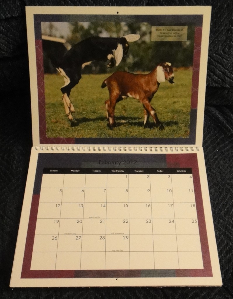 goat calendar, 2012 goat calendar