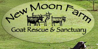 new moon farm, goat rescue