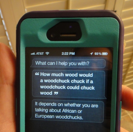 siri, how much wood, woodchuck chuck,