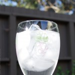 glass of water, filtered water with ice