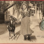 goat picture, goat postcard, laitiere auvergnate sa biquette