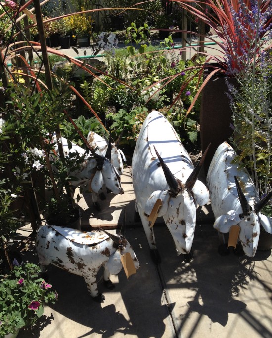 garden goats, steel goats