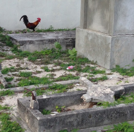 rootser, graveyard