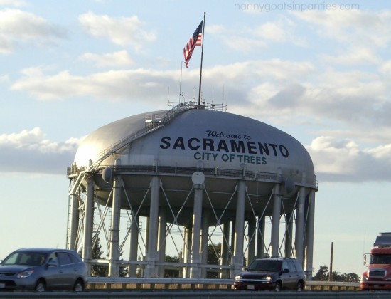 The Leaning Tower of Trees-uh